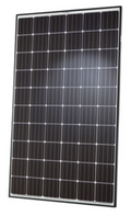 Q.PEAK-G4.1 290-310 Solar Panel